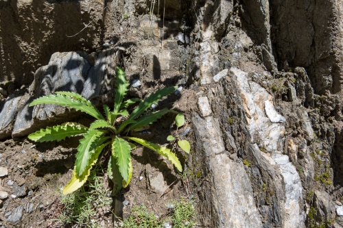 Vergrößern Variantenreiche Felswaende-2
