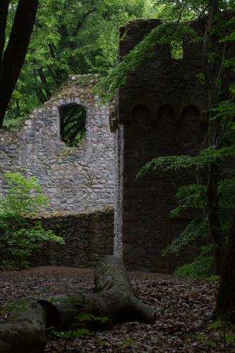 Burg Rodenstein