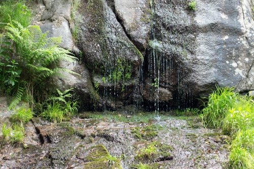 Wasserfall des Fallbaches