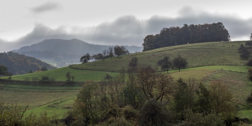 Sonne gegen Nebel