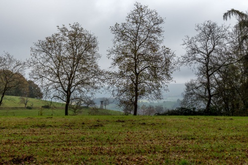 Talblick