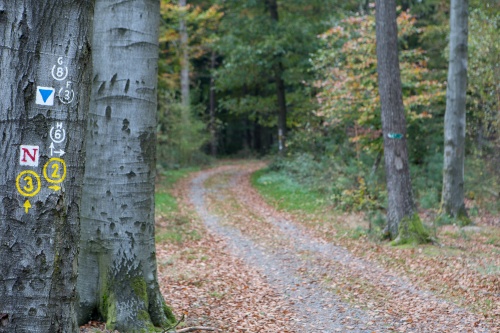 Viele Moeglichkeiten