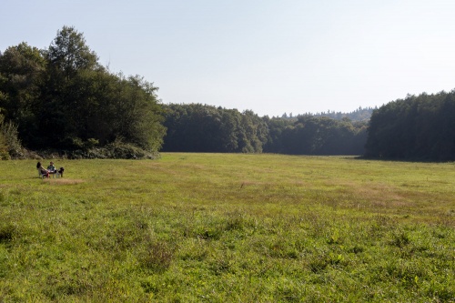 Sitzwiese