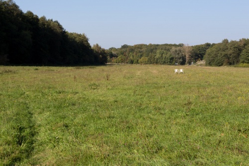 Wer kommt-