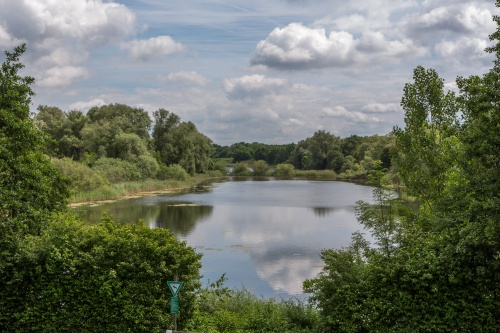 Riedteich