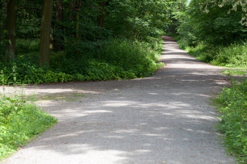 Waldwege