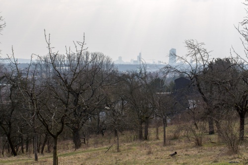 Blick auf Frankfurt