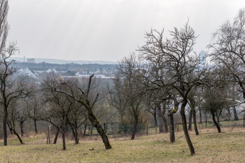 Blick zum Goethe-Turm