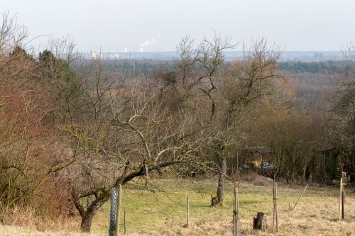 Kraftwerk Staudinger in Haunau