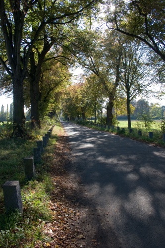 Lindenallee