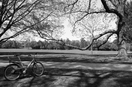 Ostpark-4