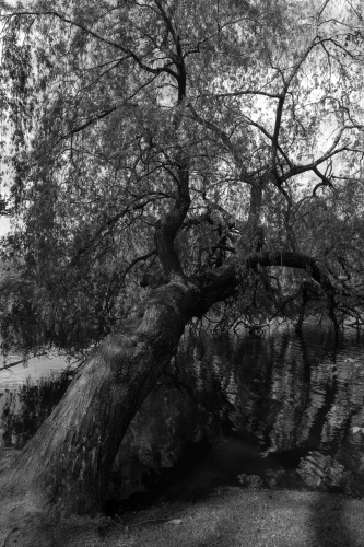 Ostpark-5