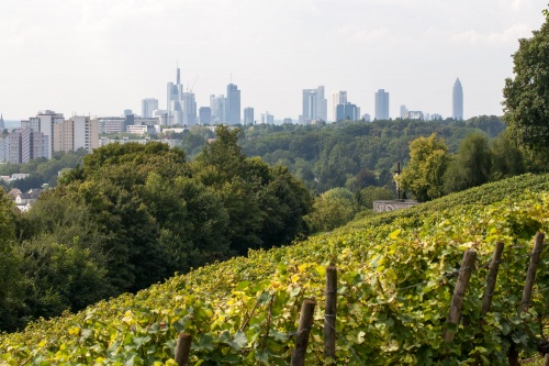 Frankfurter Wein und Skyline