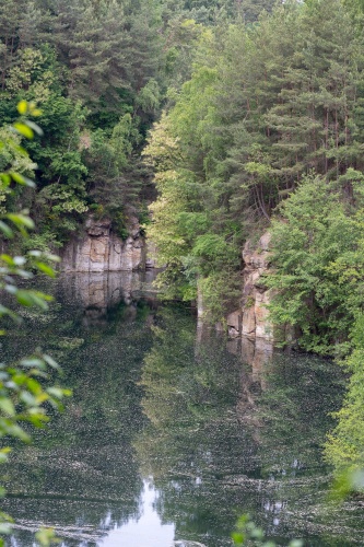 Vergrößern Bluetenstaub auf Oberwaldsee