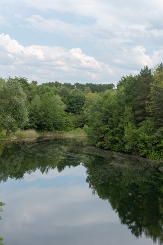 Vergrößern Bluetenstaub auf Vogelsberger See