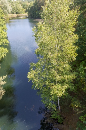 Vergrößern Vogelsberger See mit Birke