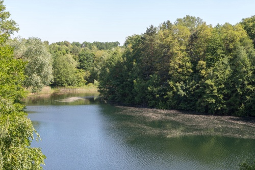 Vogelsberger See mit Bluetenstaub