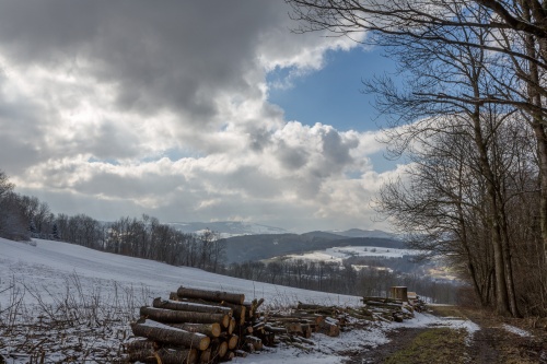 Nutzholz vor Wasserkuppe oberhalb Hilders