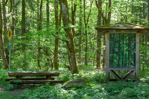 Wald im Wald - Gangolfsberg