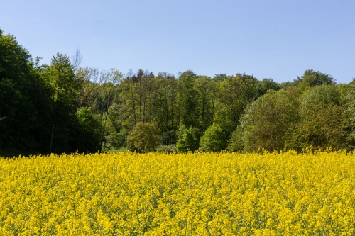 Blau - Gruen - Gelb