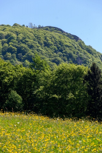 Milseburg mit Butterblumen