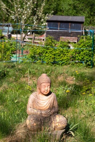Buddha Im bayerischen Kleingarten