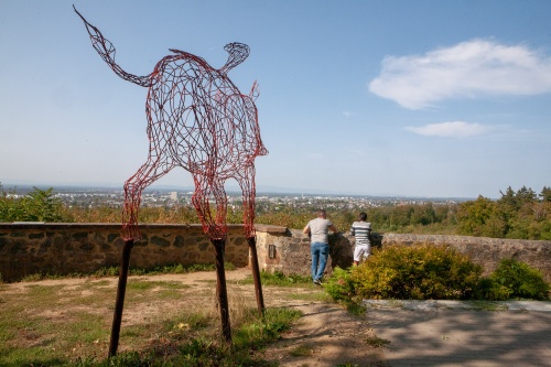 Gleb Tkachenko, Wild Boar - Wildschwein