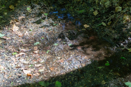 Lichtpruetze und Wasserpfuetze