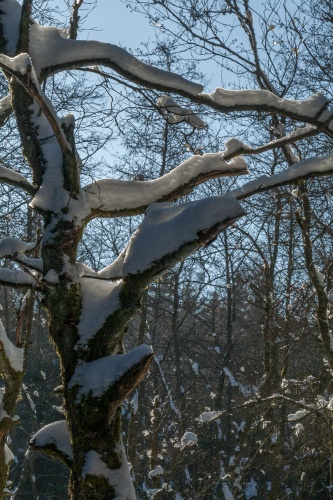 Beim Holzberghof-10