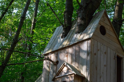 Laura Lio, houses-nests (Alfabeto-abeto)-3