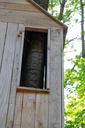 Laura Lio, houses-nests (Alfabeto-abeto)-4