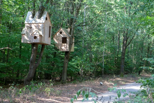 Laura Lio, houses-nests (Alfabeto-abeto)-6