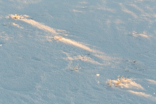 Lichtlinie im Schnee