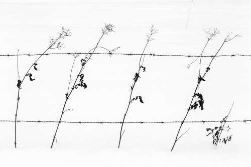 Vier und einhalb - monochrom