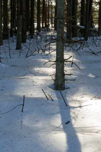 Lichtschneise