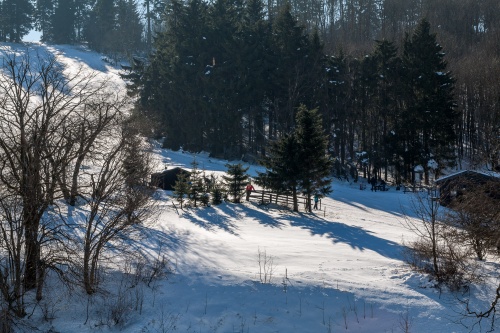 Schornecke - Winterwanderweg-8
