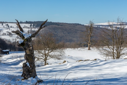 Schornecke - Winterwanderweg-9