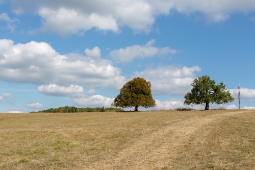 Auf der Hohen Geba