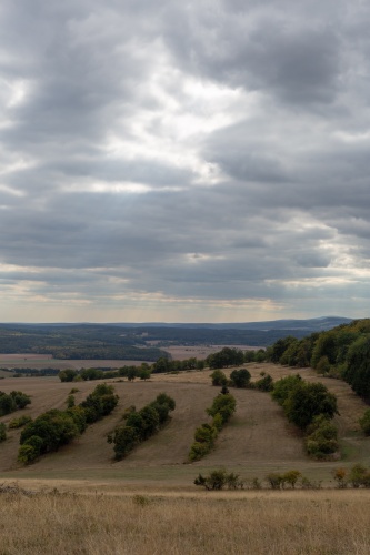 Geordnete Landschaft