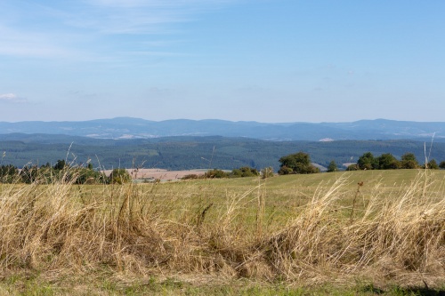 Nahe Friedelshausen; Blick zur Wasserkuppe