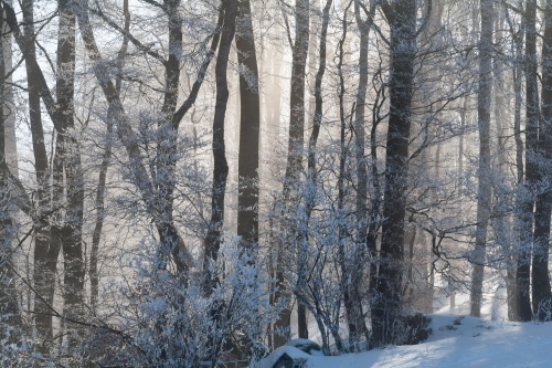 Thueringer Huette-10
