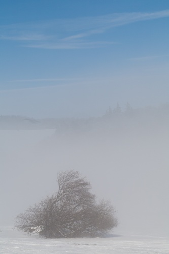Thueringer Huette-12