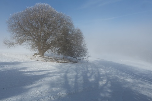 Thueringer Huette-8