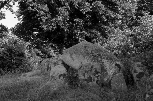 Grossdolmen von Altensiel-3