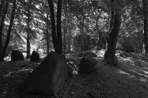 Grosssteingrab Ziegensteine-3