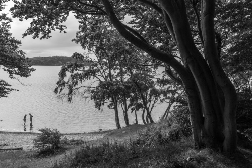 Abkuehlung im Jasmunder Bodden