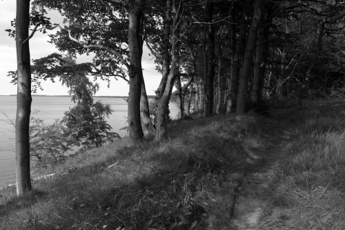 Weg am Jasmunder Bodden