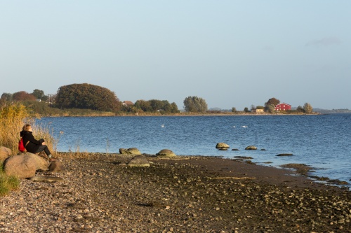 Goor-Blick