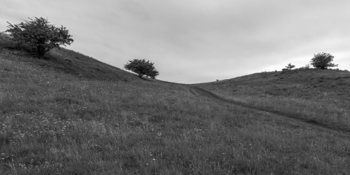 Moenchgut