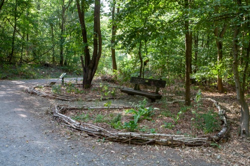 SporaStudios, Migrant Sanctuary Garden-2